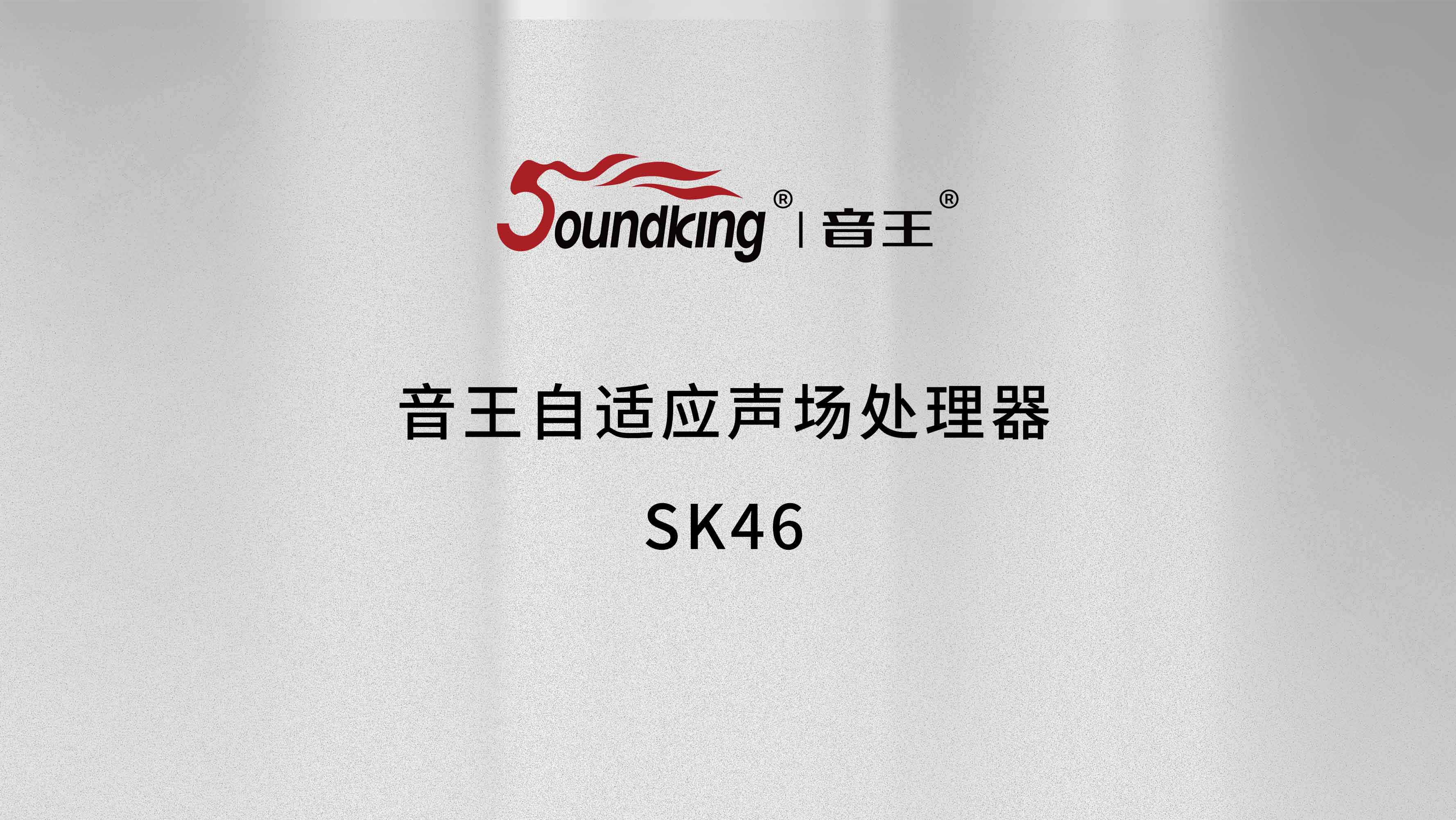 音王自適應(yīng)聲場處理器SK46